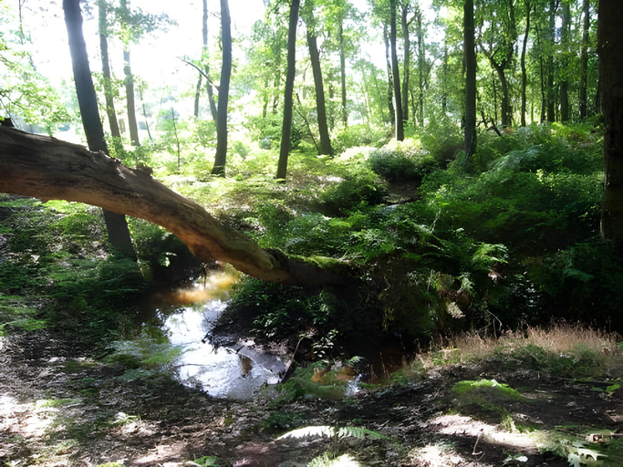 Others 5, Hotel Het Buskruid, Limburg