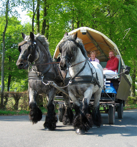 Others 4, Ferienwohnungen Wiesengrund, Städteregion Aachen
