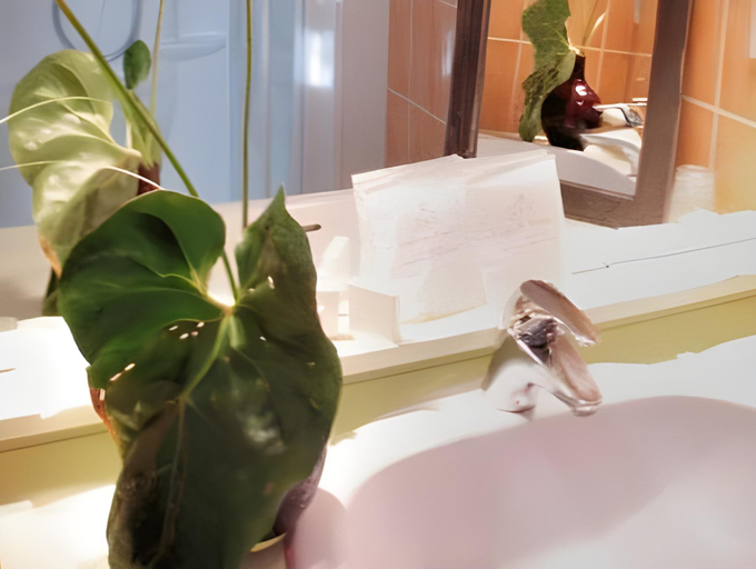 Bathroom 3, Logis Hotel Auberge De L'ecole, Loir-et-Cher