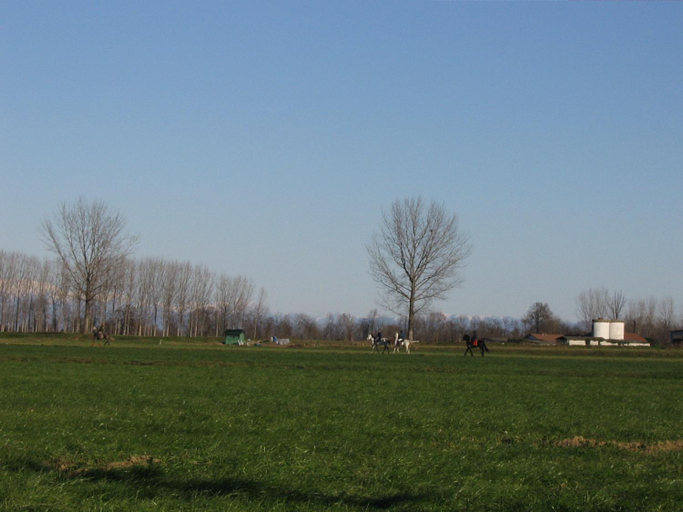 Others 3, Agriturismo Cascina Gilli, Cremona