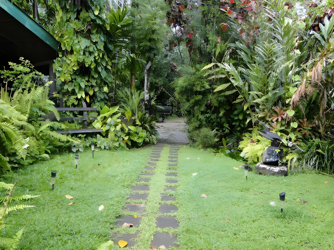 Others 4, Sinharaja Rest, Kotapola