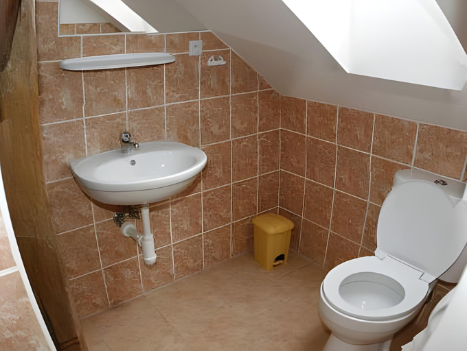 Bathroom 4, Penzion U Hanicky, Český Krumlov