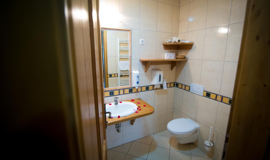 Bathroom 3, Guesthouse Smogavc, Zrece