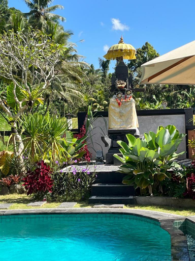 Swimming Pool 11