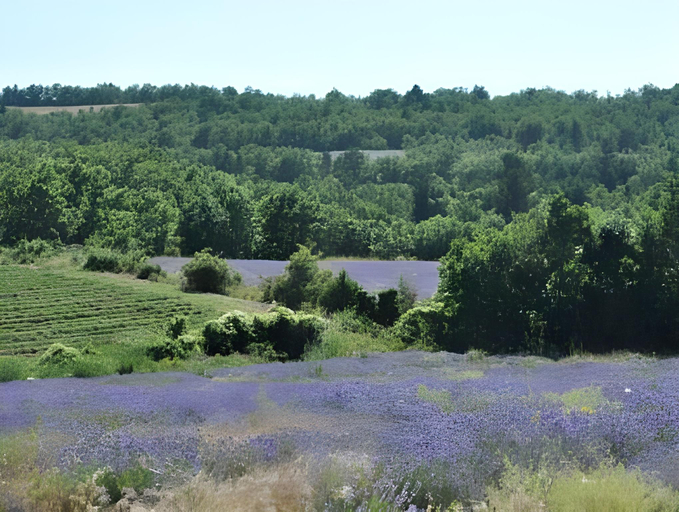 Others 5, Le Mas des Anges, Vaucluse