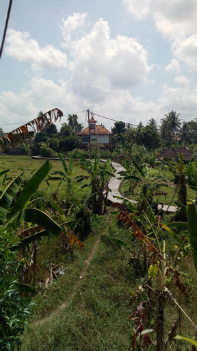Scenery 10