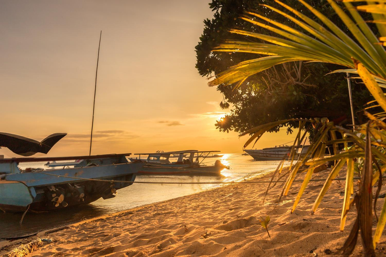 Others 4, Coco Divers & Homestay Bunaken, Manado