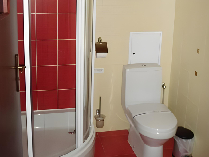 Bathroom 4, Tsvit Paporoti, Iaremchans'ka