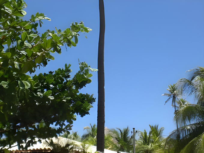 Others 5, Paradise Beach House, Mata de São João