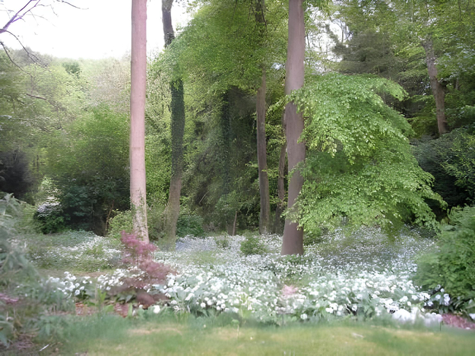 Others 3, Woodland Views, Dorset