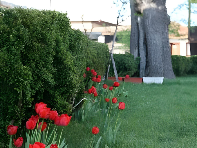 Others 5, Djudjeva Kyshta Hotel, Panagyurishte