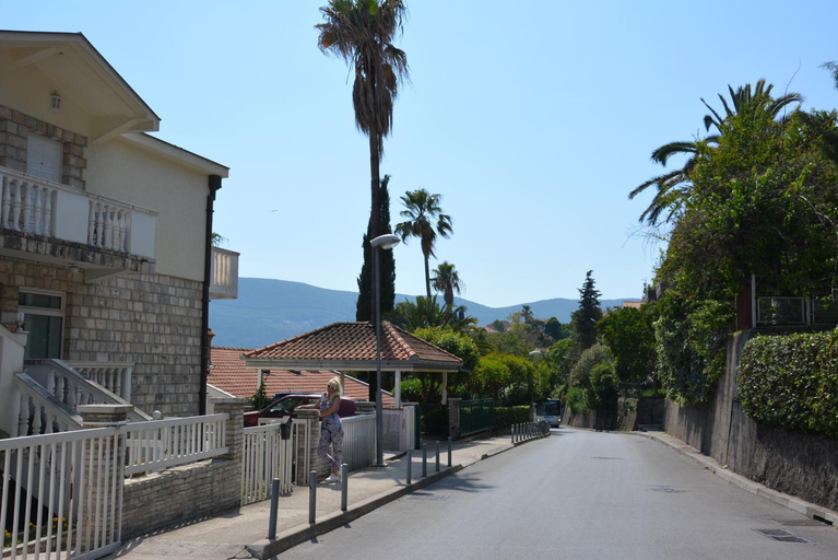 Others 5, Petrovic house