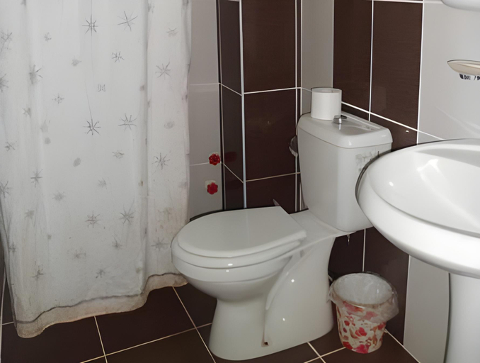 Bathroom 2, Ege Apart & Hotel, Ayvalık
