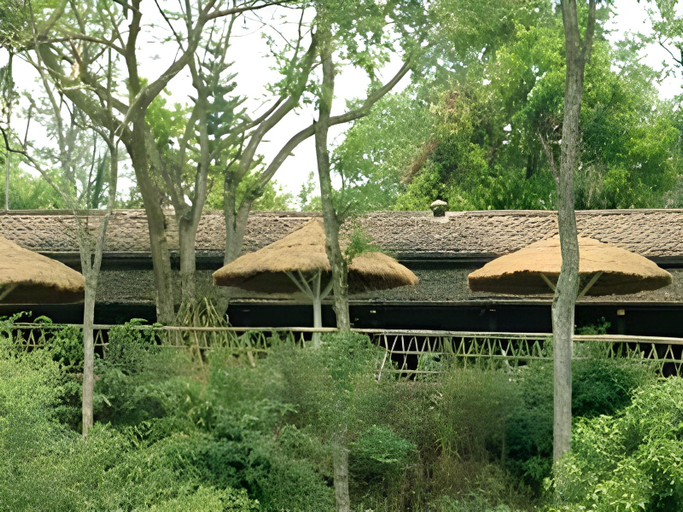 Others 4, Safari Narayani Hotel, Narayani