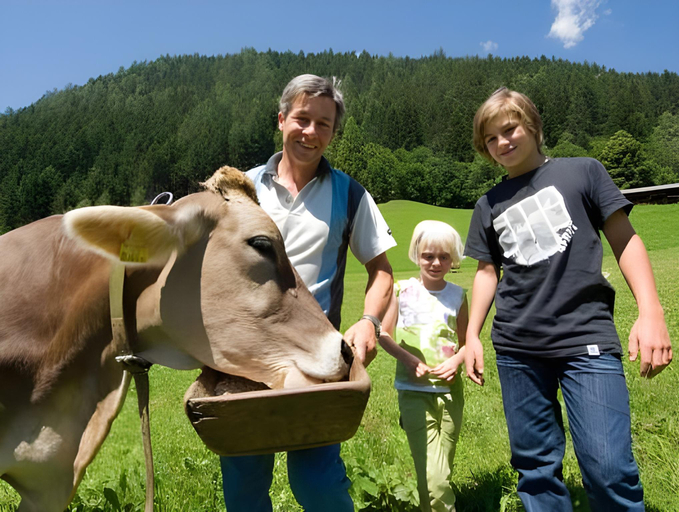 Others 3, Ladestatthof, Innsbruck Land
