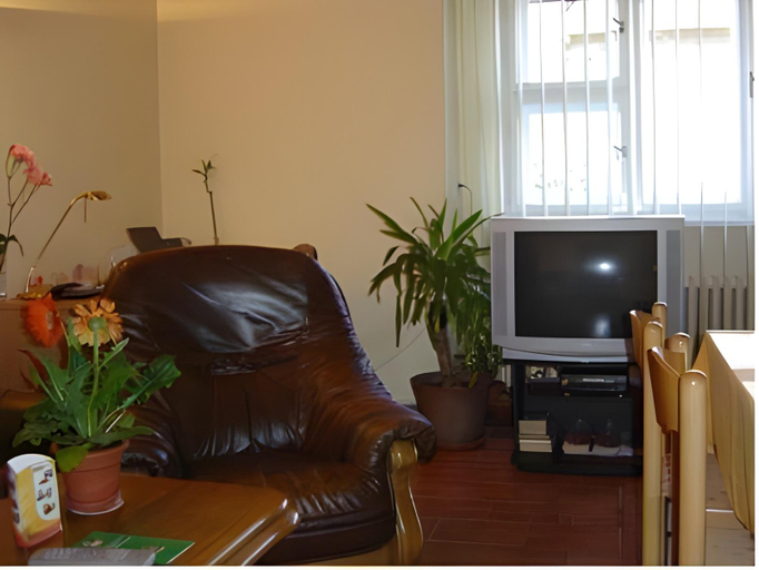 Others 4, Minihotel Vitex, Praha 5