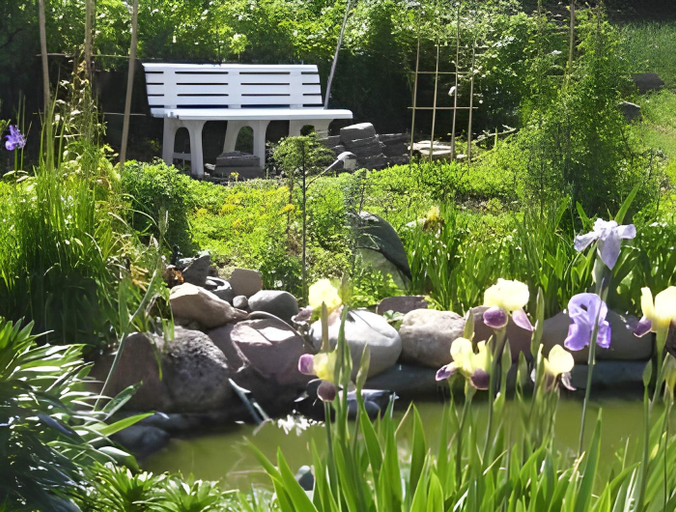 Others 4, Golden Orchid Hotel, Svetlogorsk