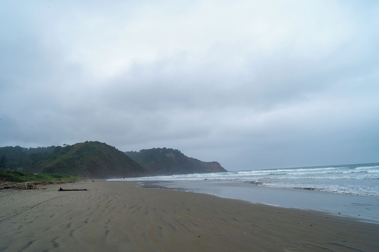 Others 5, Las Golondrinas Ayampe, Puerto López