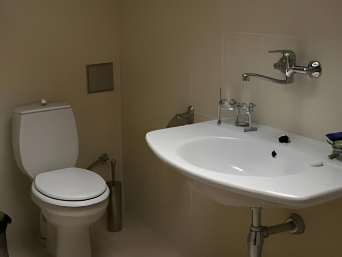 Bathroom 3, Zlaty Lev, Louny