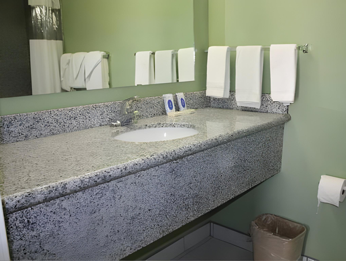 Bathroom 3, Deluxe Inn Fort Stockton, Pecos
