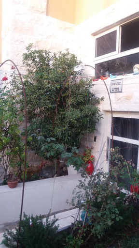 Others 2, Israeli Home