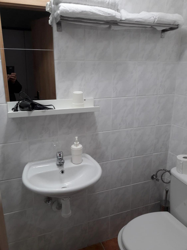 Bathroom 2, Pension Mois, Neustadt an der Waldnaab