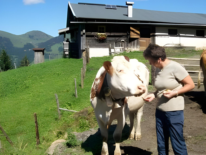 Others 2, Malernhof, Kitzbühel