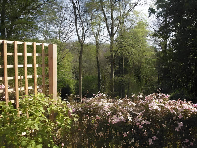 Others 5, Woodland Views, Dorset