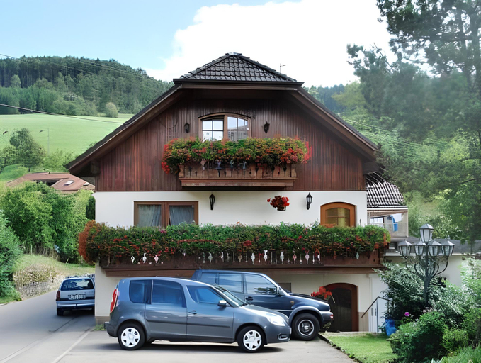 Landgasthof Hirschen , Waldshut