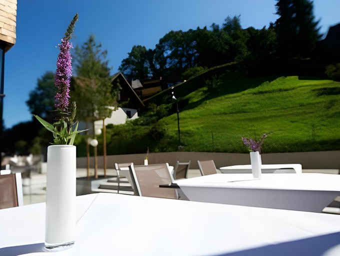 Food & Drinks 5, Sternen Hotel Wolfurt, Bregenz