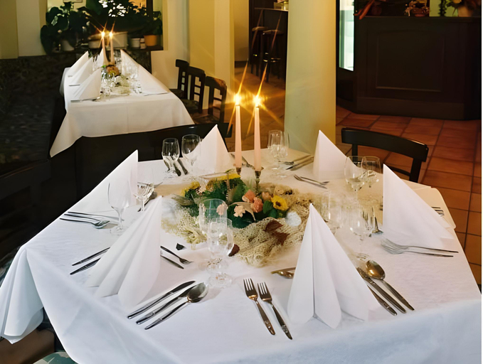 Food & Drinks 4, Hotel Zur Fernmuhle, Saale-Orla-Kreis