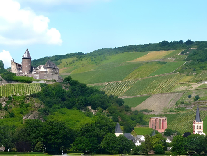 Exterior & Views 3, Gasthaus Weingut Stahl, Rhein-Hunsrück-Kreis