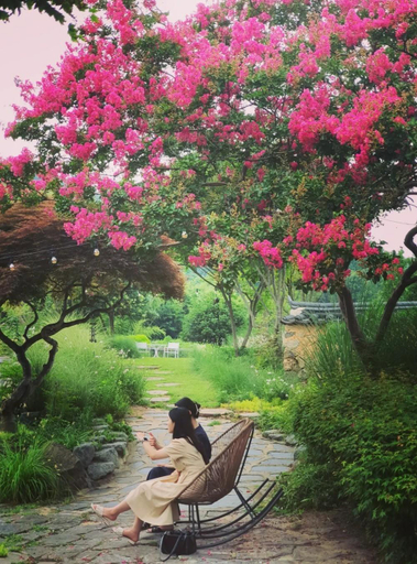 Scenery