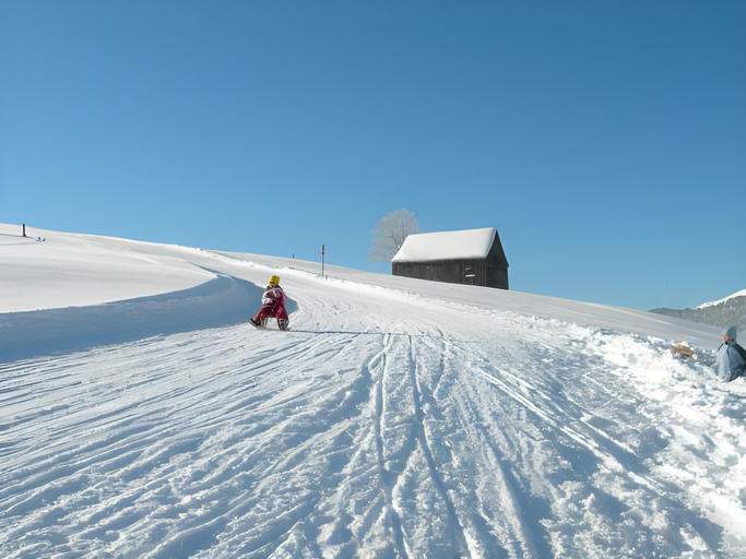 Others 5, Hotel Santis Lodge, Toggenburg