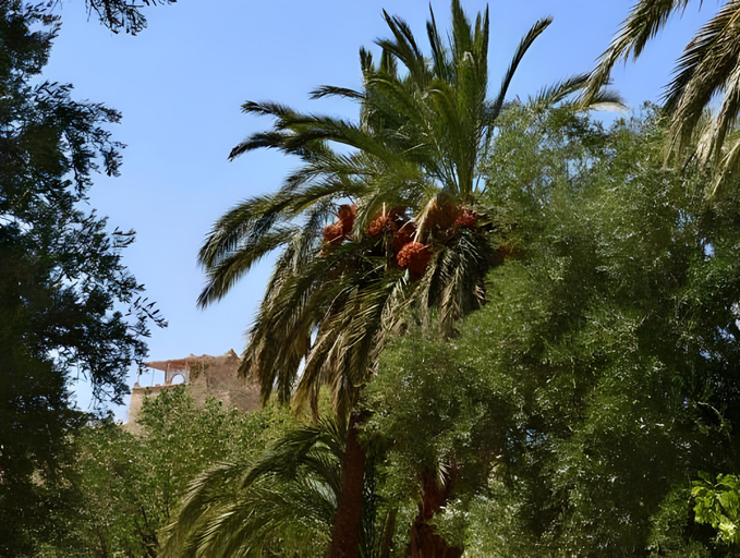 Others 5, Taloute Ecolodge, Ouarzazate