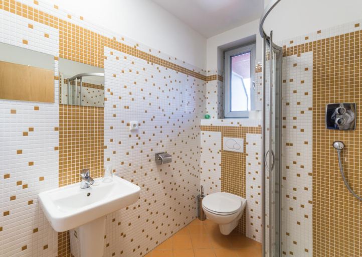 Bathroom 2, Penzion Paloucek, Praha 2