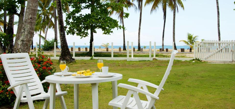 Garden, Villa directly on the beach, las Ballenas, Las Terrenas