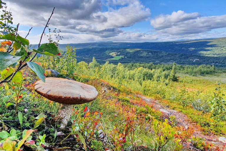 Others 5, Active Adventure Base - Apartment & Lavvo, Dagali Fjellpark, Hol