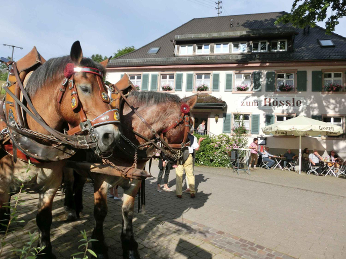 Others 4, Gasthaus zum Rossle, Breisgau-Hochschwarzwald