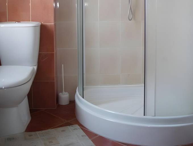Bathroom 2, Guest House Delta, Polesskiy rayon