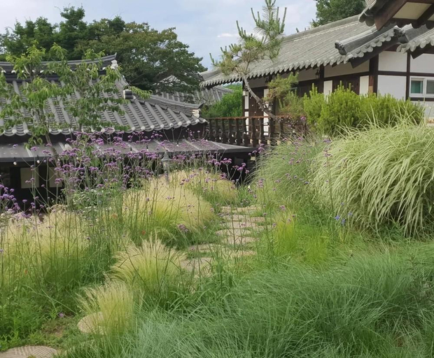 Scenery 2