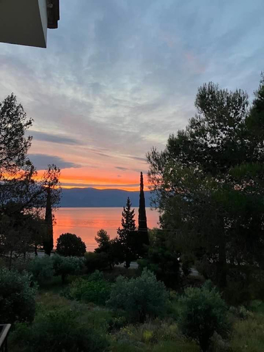 Others 5, Helen's place, Central Greece