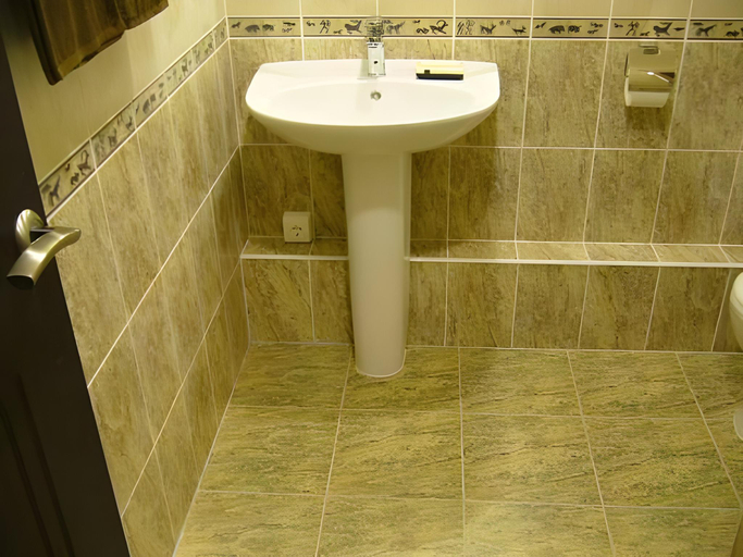 Bathroom 5, Aelita, Kaluga gorsovet