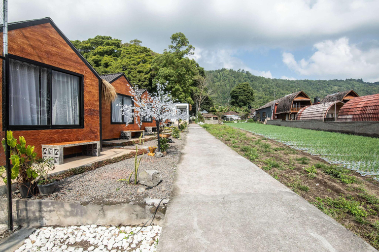 Others 1, Yucabin Kintamani - for Cool Adults Only Deals, Bangli