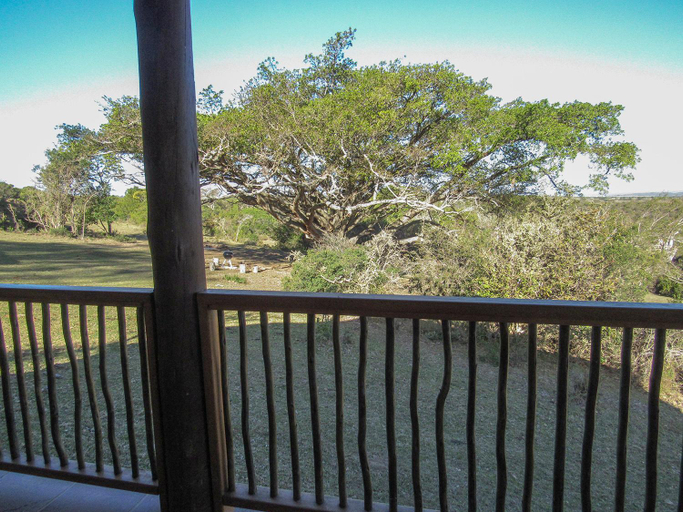 Scenery 14