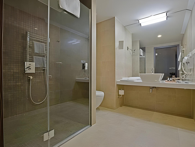 Bathroom 4, Hotel BUKOVINA, Tatra