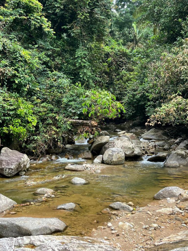 Others 4, BUKIT LIMAU REST HOUSE, Larut and Matang
