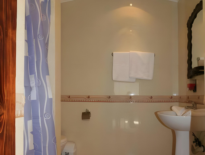 Bathroom 3, Stara Pravda Hotel, Nadvirnians'kyi