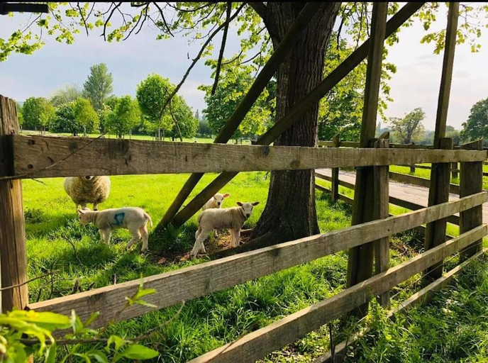 Others 5, The Shepherd’s Nest, North Somerset
