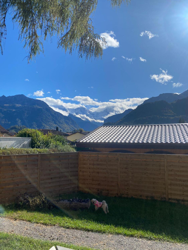 Unique Tiny Eco Lodges with gorgeous views to Jungfrau Massiv, Interlaken